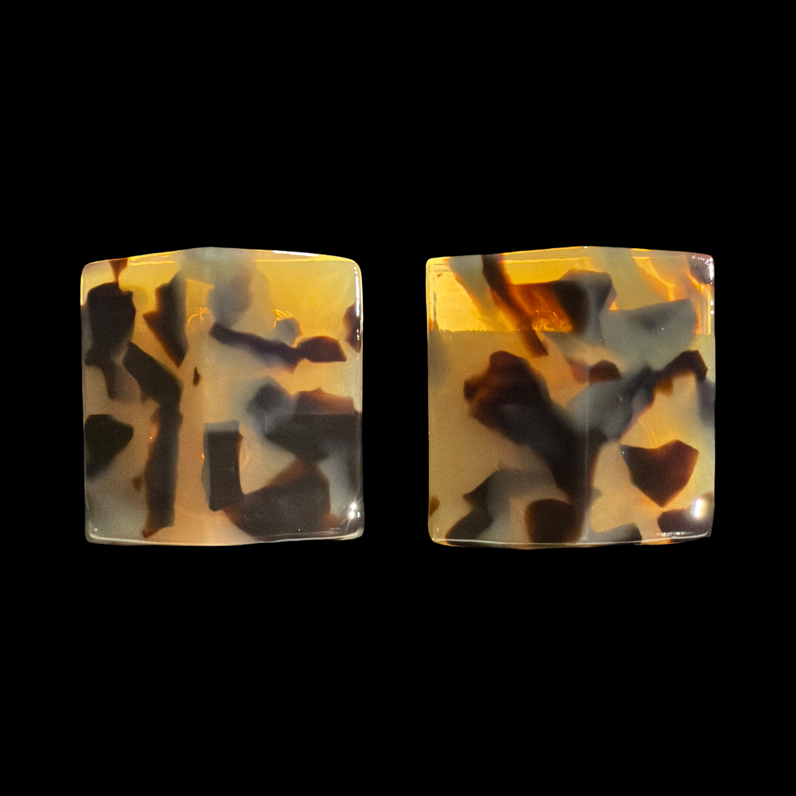 TORTOISE SHELL CLIPS
