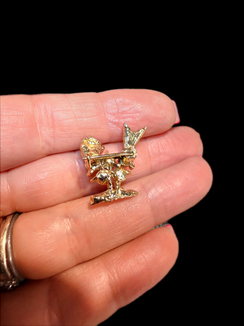 RED BIRD BROOCH