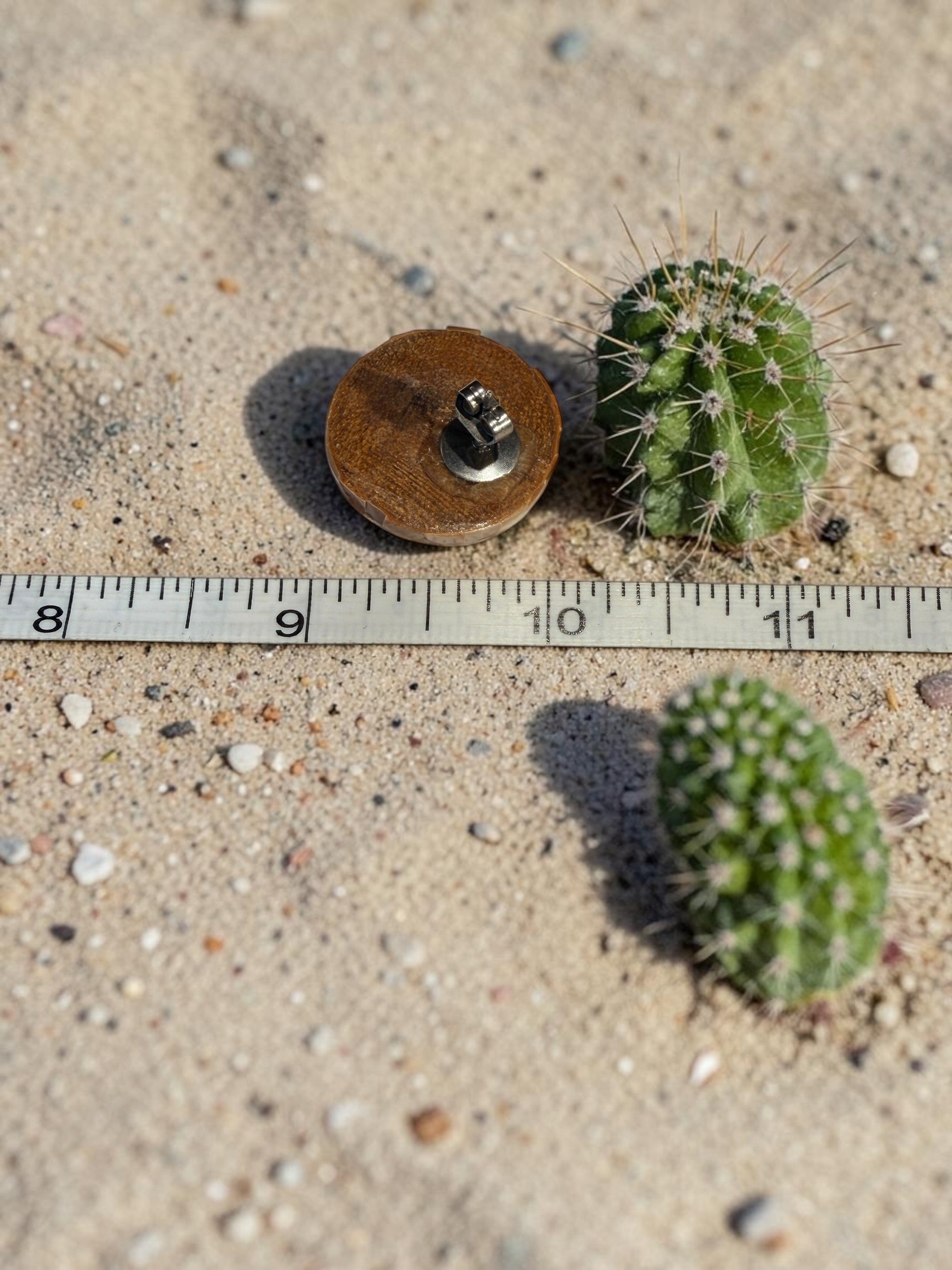 WOOD WITH SHELL EARRINGS