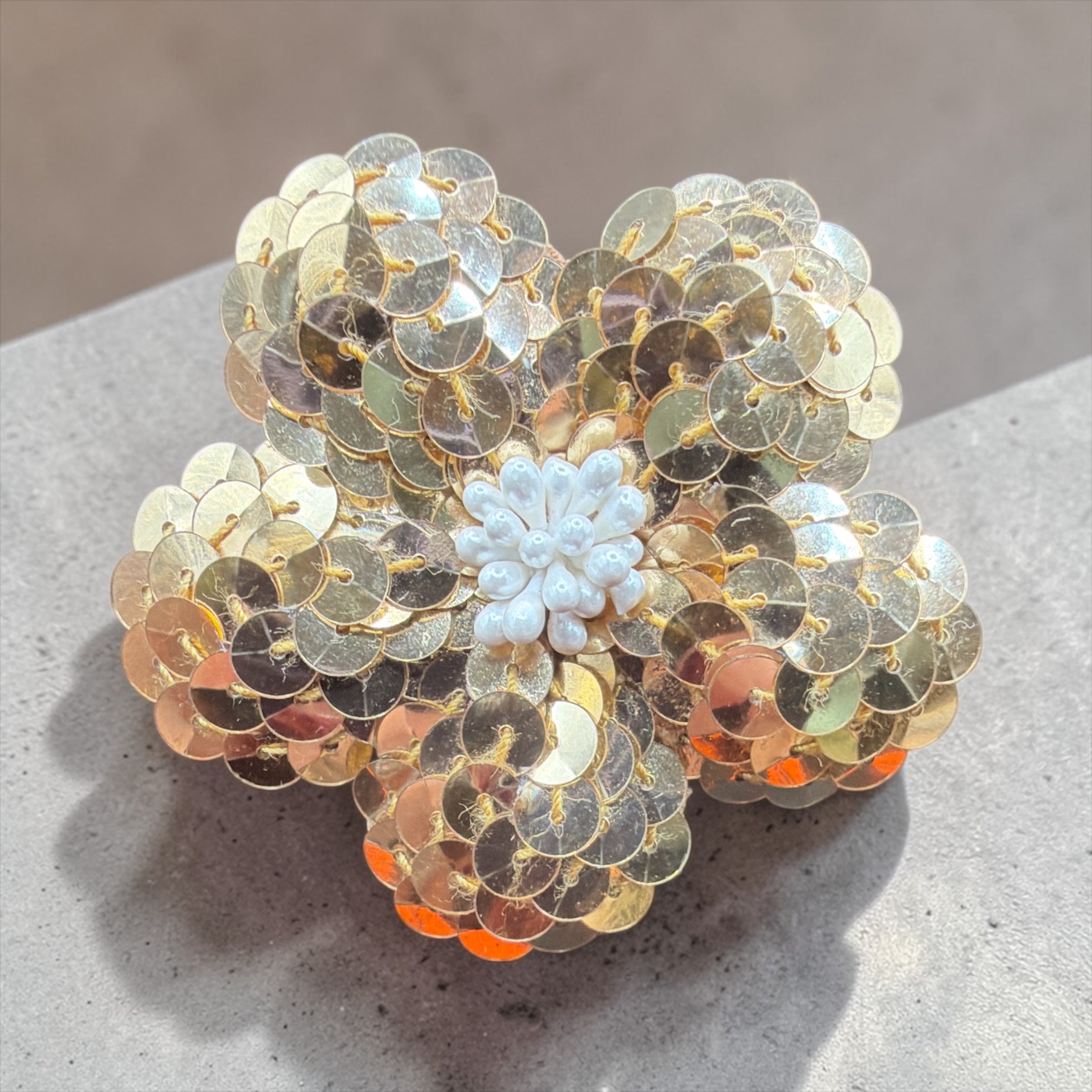 BROOCH OR HAIR CLIP